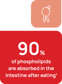 90% Phospholipids-2