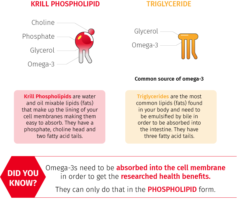 Asset 1Infographic